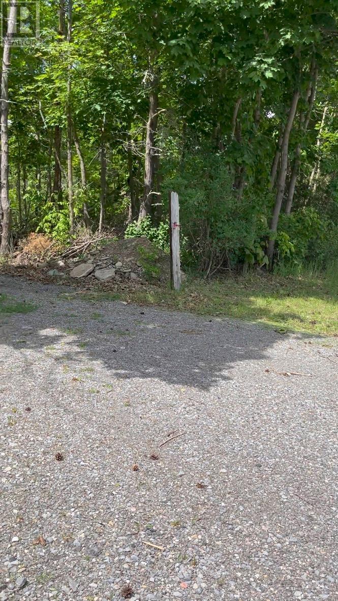 6192 County Rd 50 Road, Trent Hills (Campbellford), Ontario  K0L 1L0 - Photo 7 - X12155578