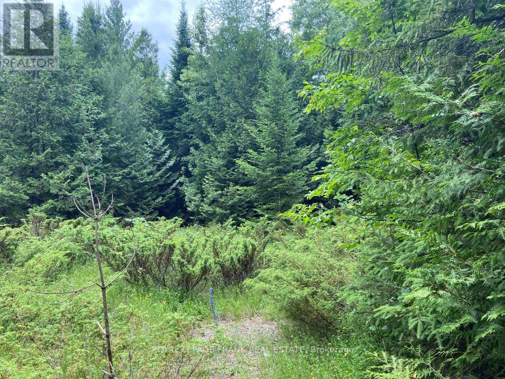 0 Barcroft Road, Trent Lakes, Ontario  K0L 1J0 - Photo 1 - X12156194