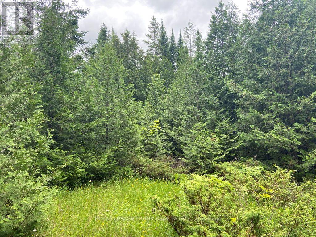 0 Barcroft Road, Trent Lakes, Ontario  K0L 1J0 - Photo 3 - X12156194