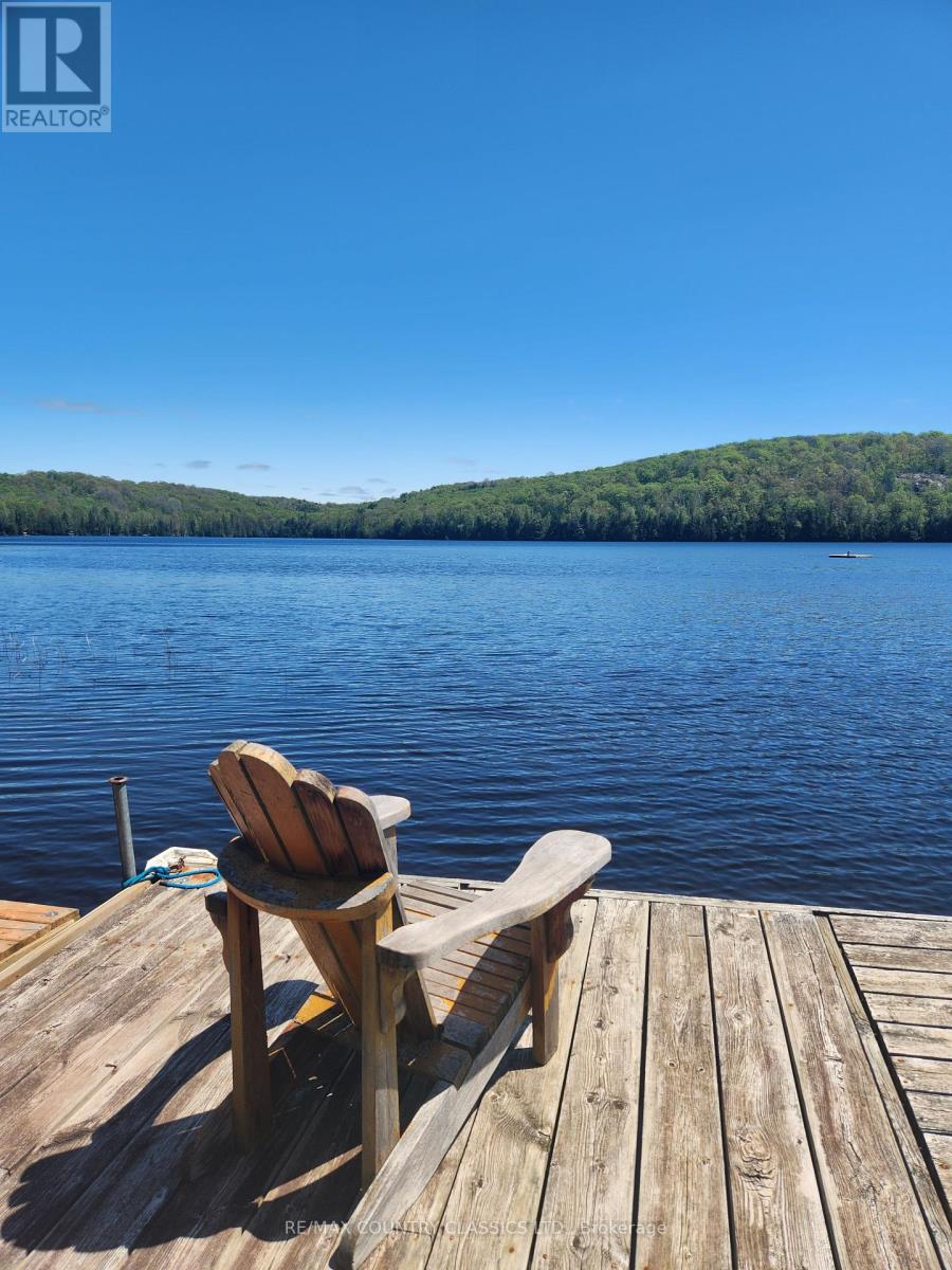 12 Albion Lake Court, Faraday, Ontario  K0L 1C0 - Photo 36 - X12156868
