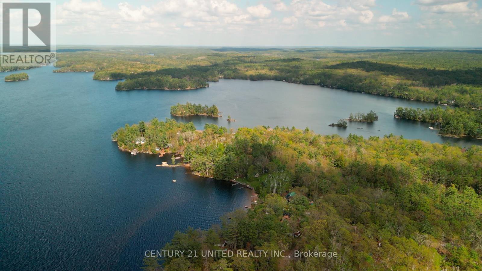 10 Fr 133a Route, Trent Lakes, Ontario  K0L 1J0 - Photo 10 - X12157106