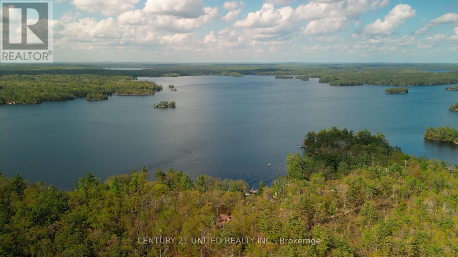 10 Fr 133a Route, Trent Lakes, Ontario  K0L 1J0 - Photo 11 - X12157106
