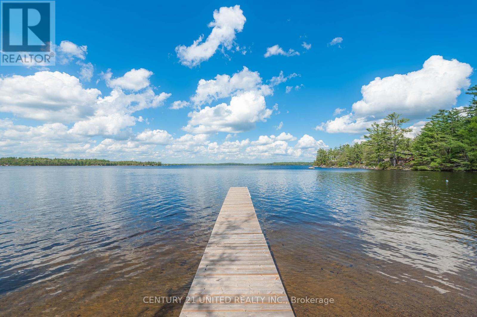 10 Fr 133a Route, Trent Lakes, Ontario  K0L 1J0 - Photo 43 - X12157106
