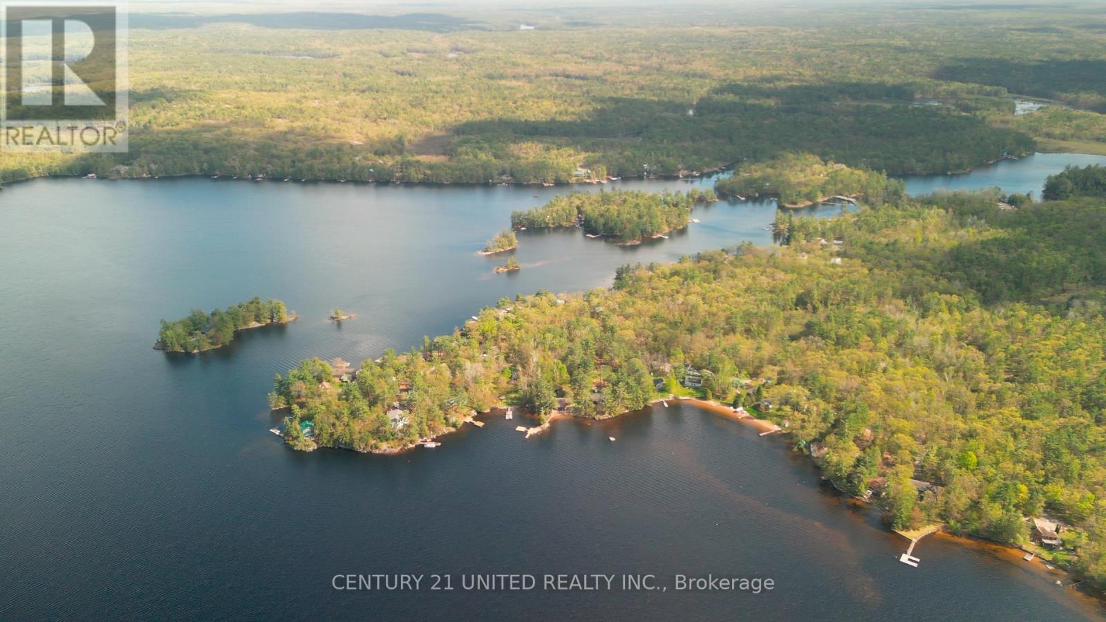 10 Fr 133a Route, Trent Lakes, Ontario  K0L 1J0 - Photo 9 - X12157106