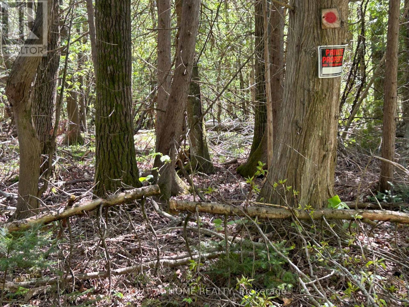 0 Mount Horeb Road, Kawartha Lakes (Manvers), Ontario  K0L 2K0 - Photo 10 - X12159937