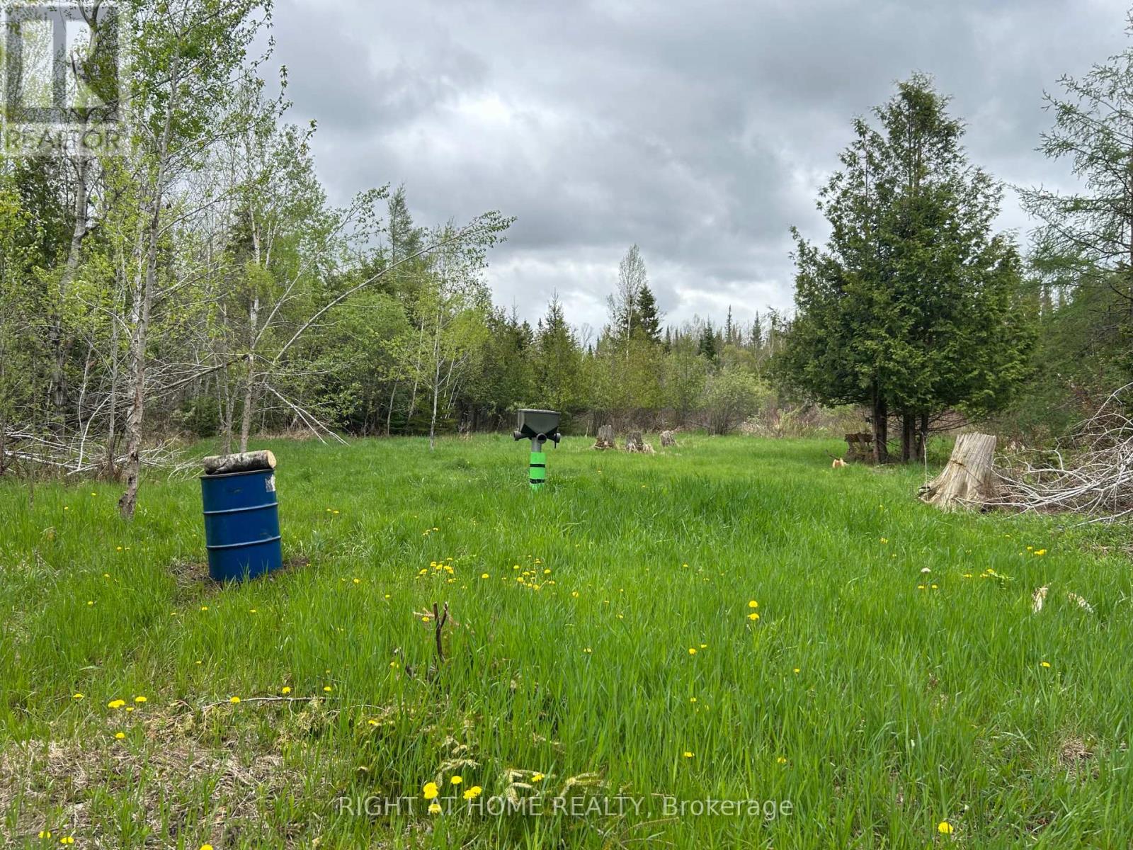 0 Mount Horeb Road, Kawartha Lakes (Manvers), Ontario  K0L 2K0 - Photo 8 - X12159937