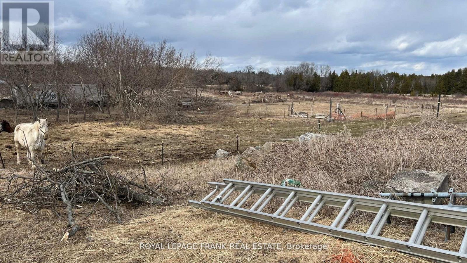2592 8th Line E, Trent Hills, Ontario  K0L 1L0 - Photo 21 - X12161385