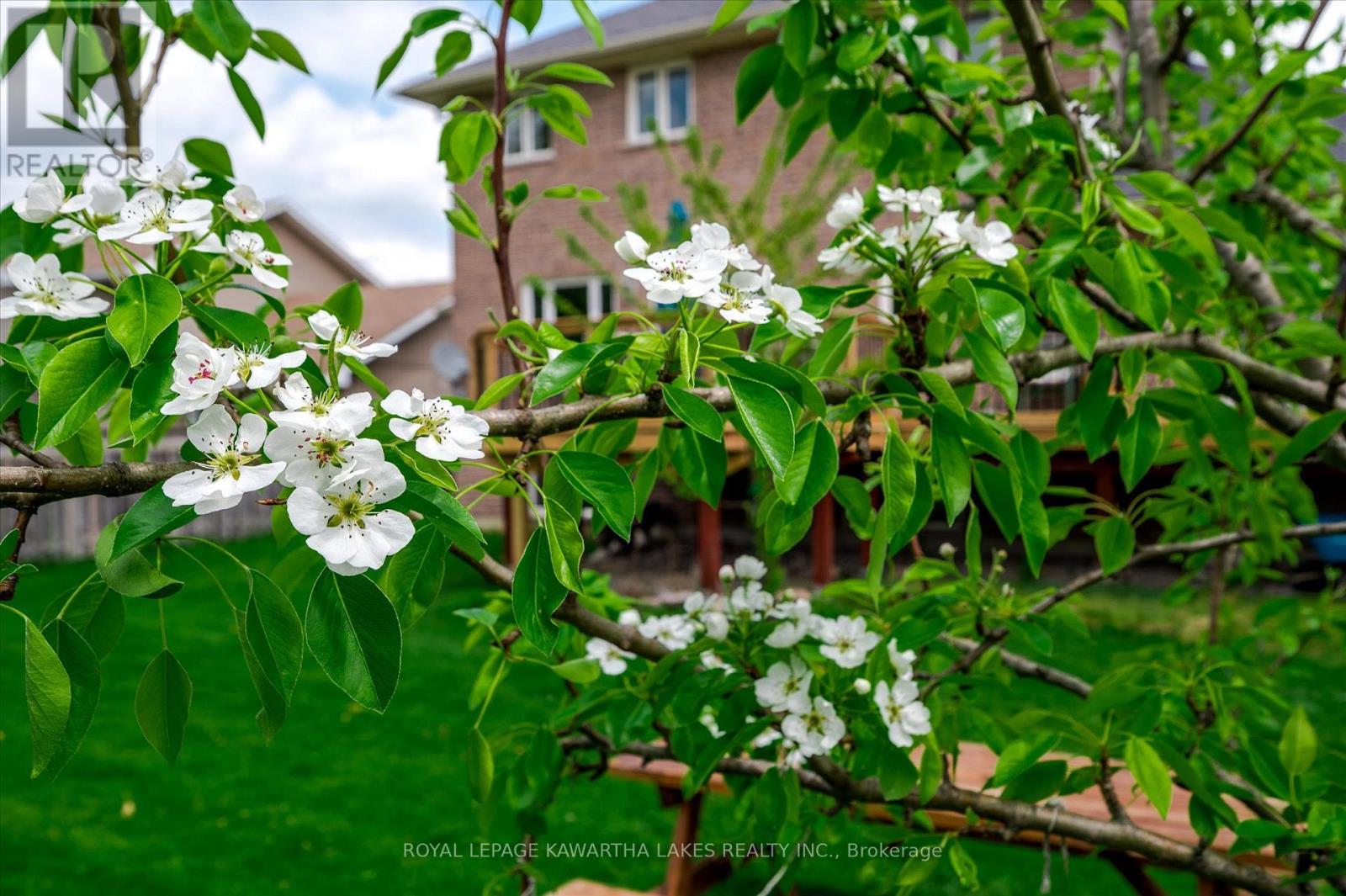 1 William Booth Crescent, Kawartha Lakes (Lindsay), Ontario  K9V 6E1 - Photo 48 - X12161671