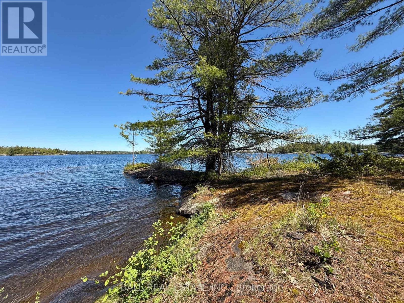 1020 Island 35, Stoney Lake, Douro-Dummer, Ontario  K0L 2H0 - Photo 15 - X12161931
