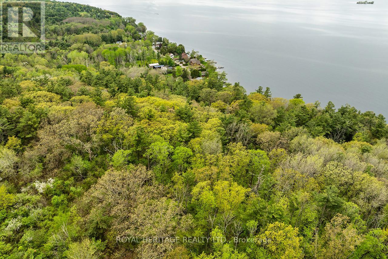 5248 King Road, Hamilton Township, Ontario  K0L 1E0 - Photo 8 - X12161997