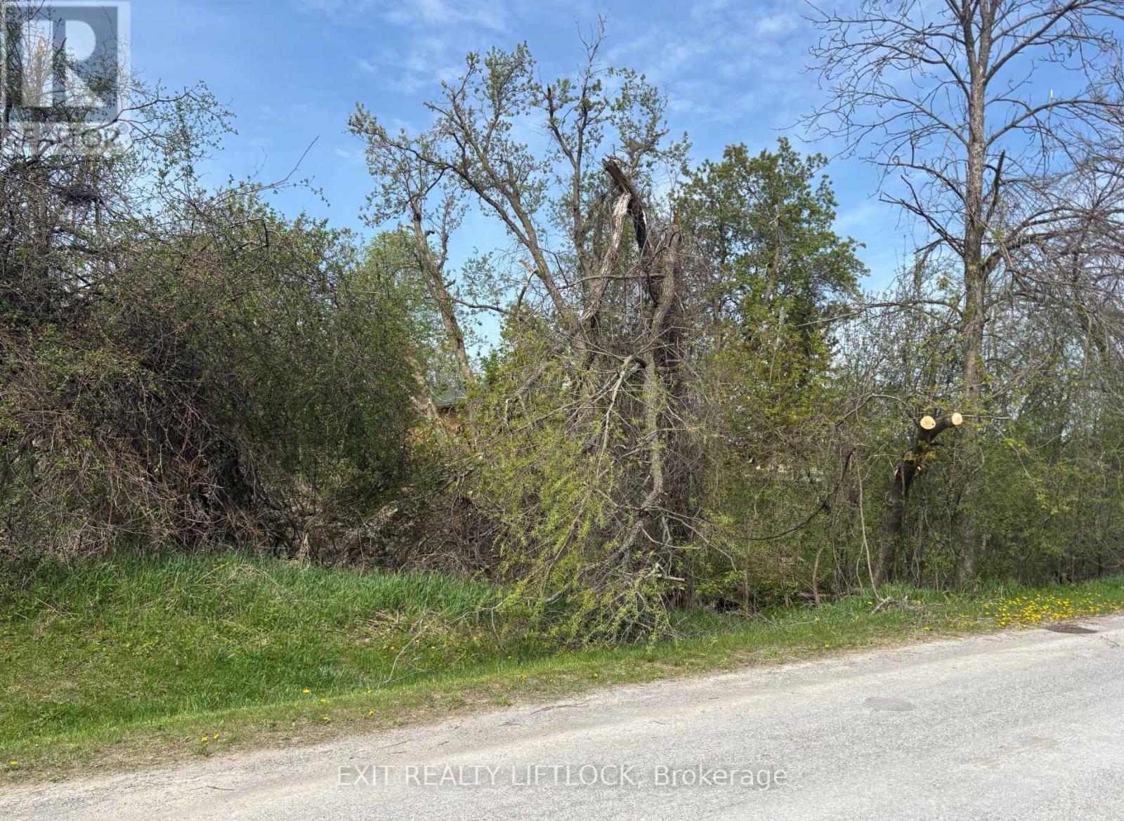 0 Maple Ridge Drive, Kawartha Lakes (Emily), Ontario  K0L 2W0 - Photo 1 - X12163117