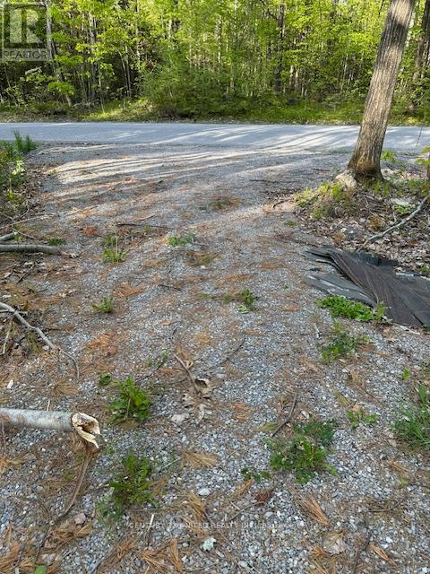 0 Barcroft Road, Galway-Cavendish And Harvey, Ontario  K0L 1J0 - Photo 2 - X12163391