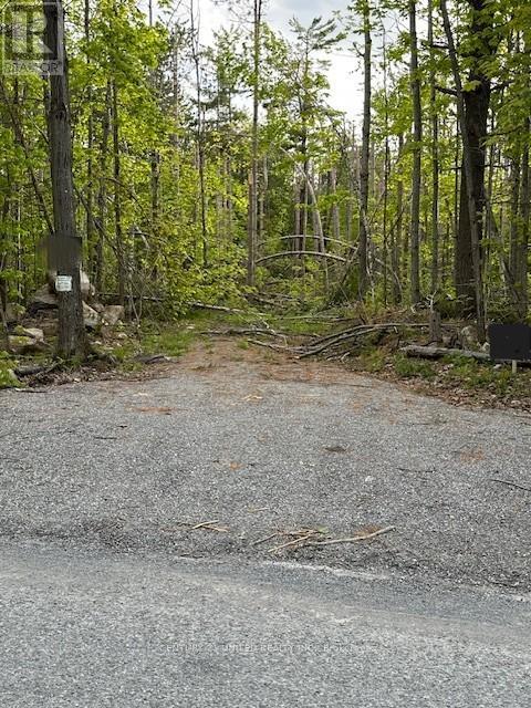 0 Barcroft Road, Galway-Cavendish And Harvey, Ontario  K0L 1J0 - Photo 3 - X12163391