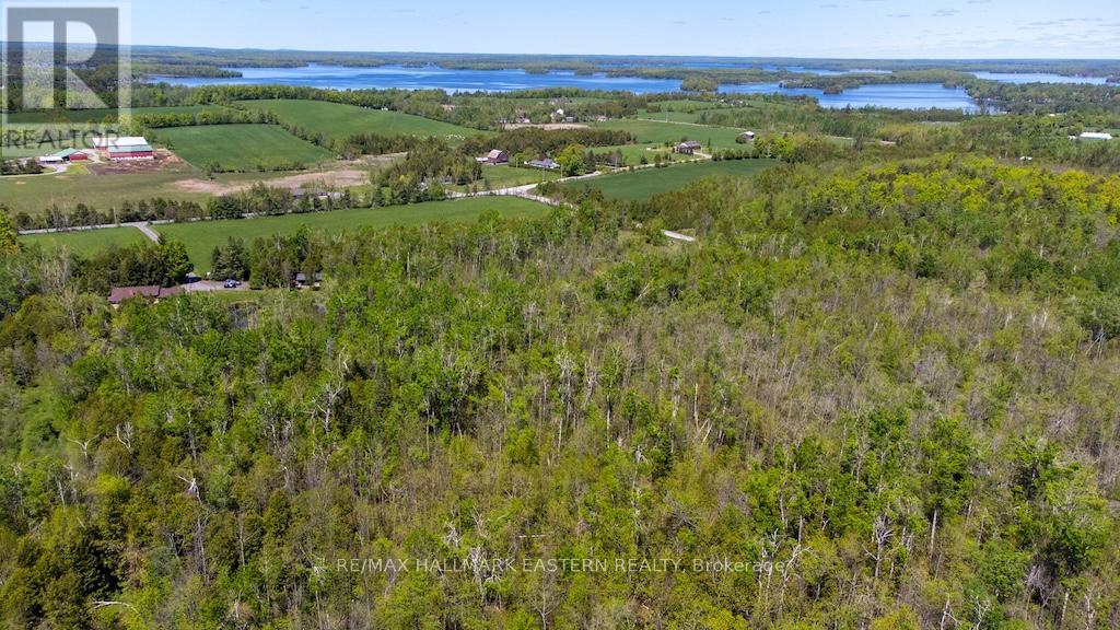 615 Edenderry Line, Selwyn, Ontario  K0L 1T0 - Photo 45 - X12163403