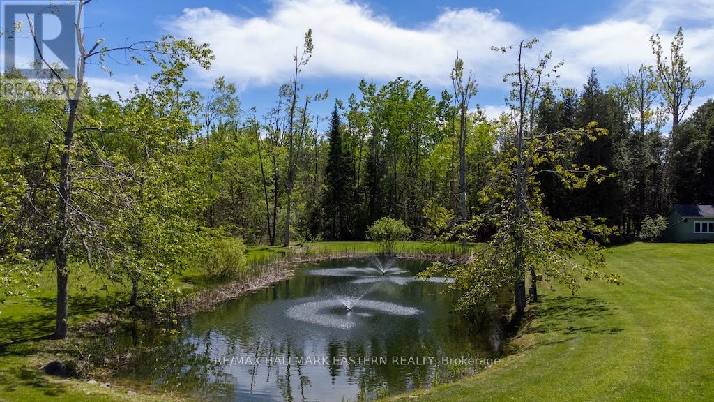 615 Edenderry Line, Selwyn, Ontario  K0L 1T0 - Photo 48 - X12163403
