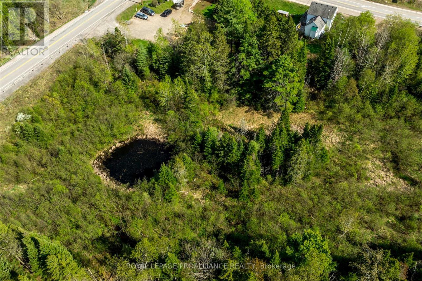 32977 Highway 62 N, Hastings Highlands (Mcclure Ward), Ontario  K0L 2S0 - Photo 47 - X12165647