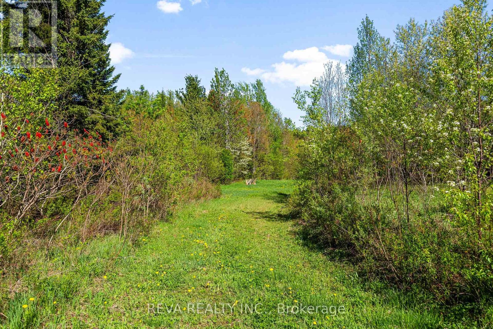 1175 Hillsview Road, Hastings Highlands (Monteagle Ward), Ontario  K0L 2R0 - Photo 28 - X12166010
