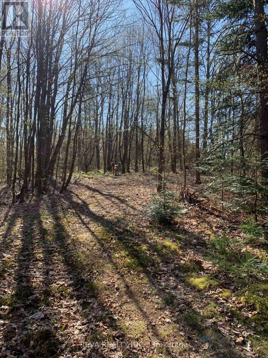 1175 Hillsview Road, Hastings Highlands (Monteagle Ward), Ontario  K0L 2R0 - Photo 29 - X12166010