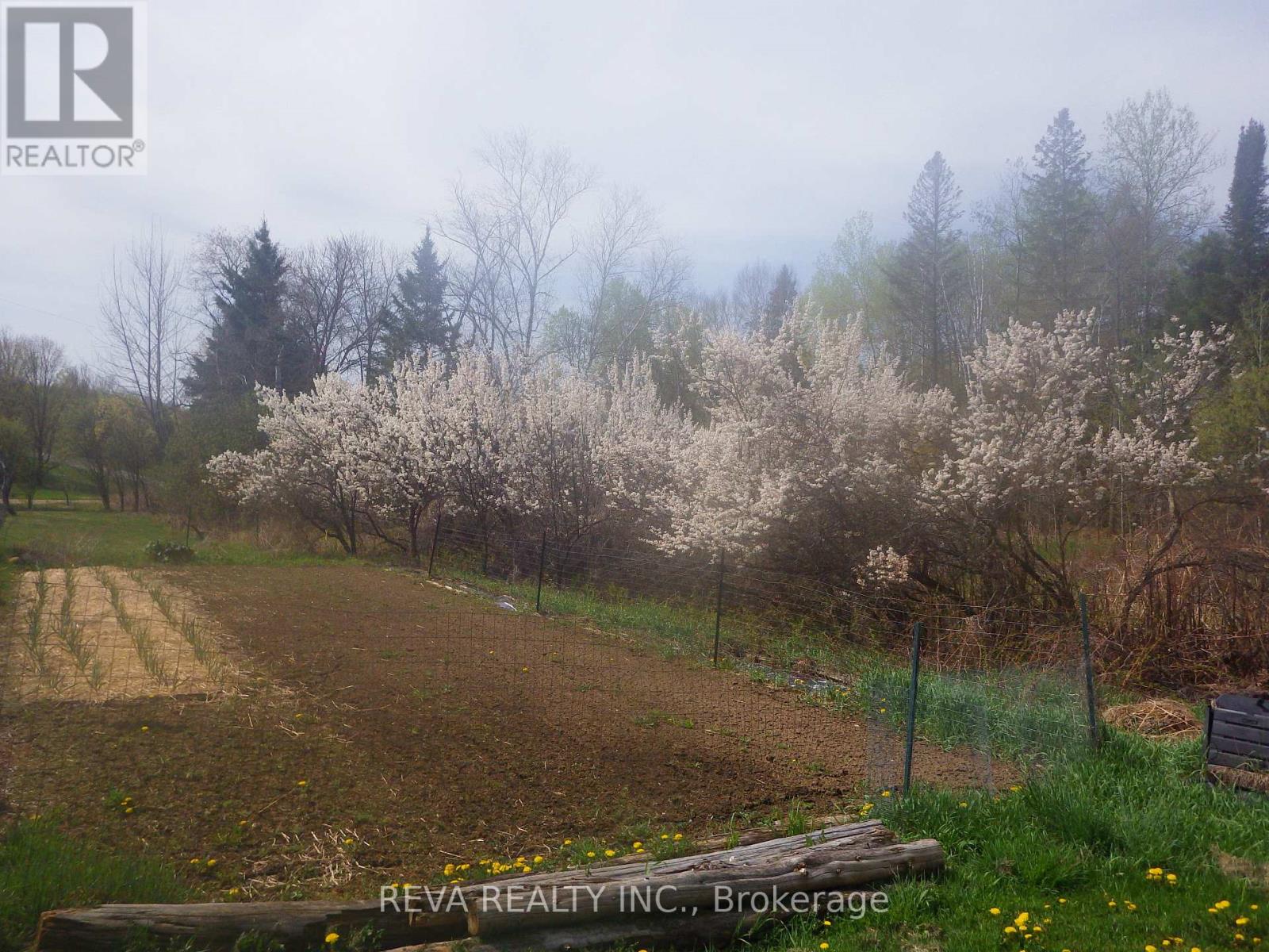 1175 Hillsview Road, Hastings Highlands (Monteagle Ward), Ontario  K0L 2R0 - Photo 33 - X12166010