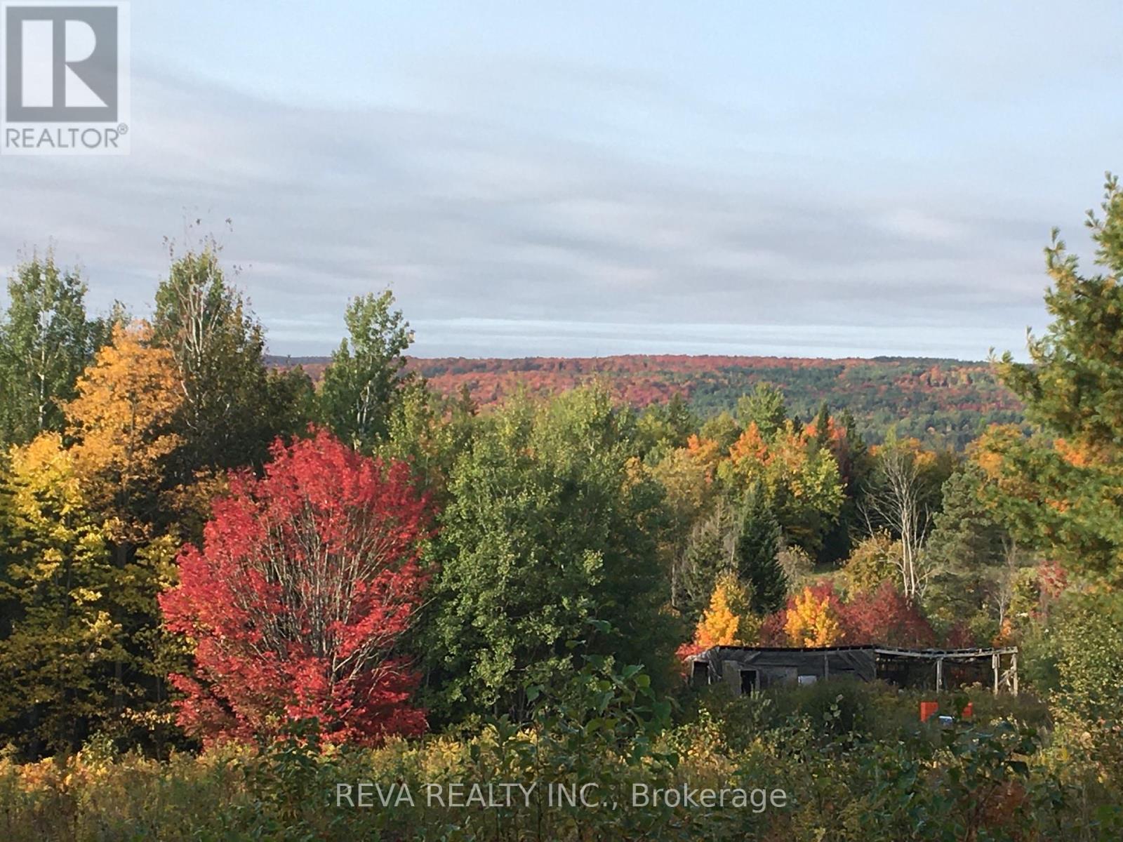 1175 Hillsview Road, Hastings Highlands (Monteagle Ward), Ontario  K0L 2R0 - Photo 38 - X12166010