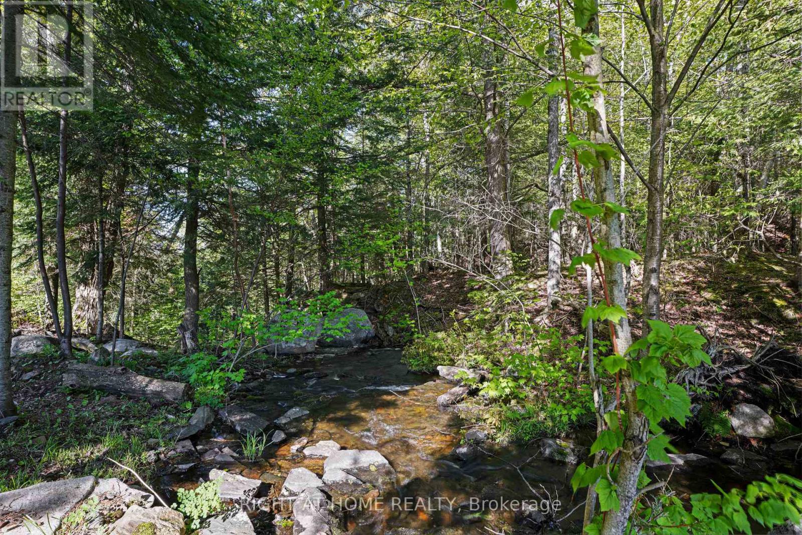 1181 Grace River Road, Dysart Et Al (Dysart), Ontario  K0L 3C0 - Photo 43 - X12166335