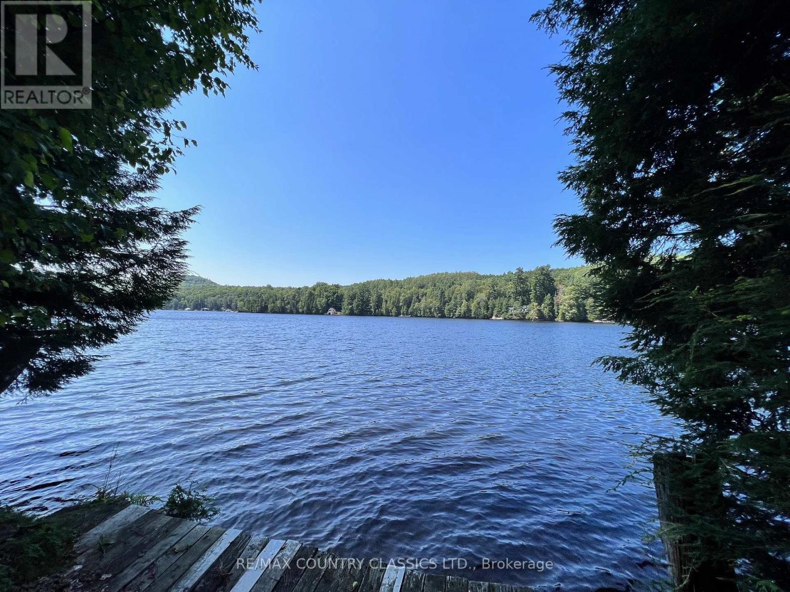 518 Duncan Lane, Hastings Highlands (Herschel Ward), Ontario  K0L 1C0 - Photo 26 - X12166871