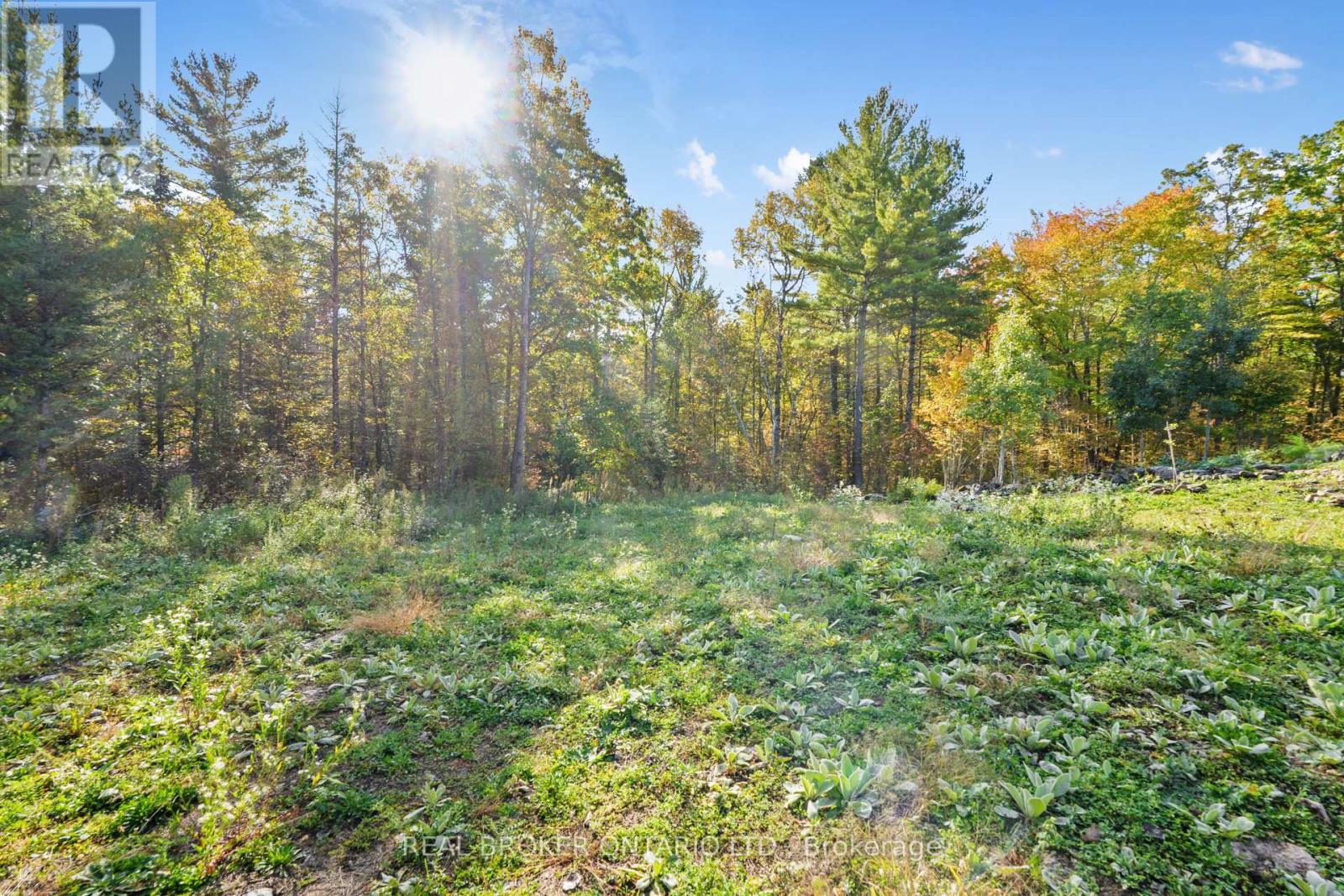 3005 12th Line E, Trent Hills, Ontario  K0L 1L0 - Photo 16 - X12167397