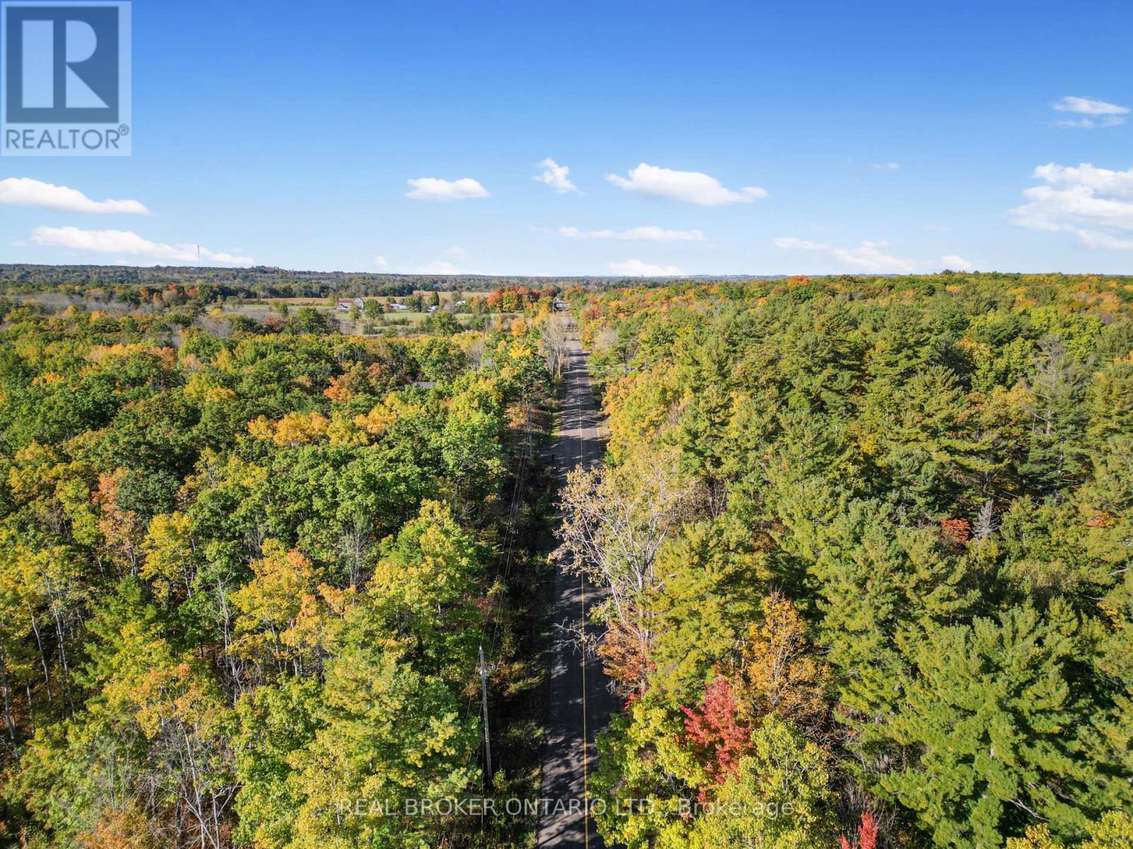 3005 12th Line E, Trent Hills, Ontario  K0L 1L0 - Photo 7 - X12167397