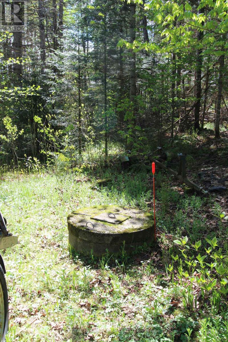 1059 Tortoise Drive, Highlands East (Monmouth), Ontario  K0L 3C0 - Photo 22 - X12168331