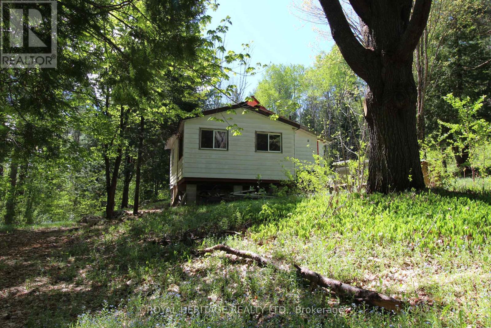 1059 Tortoise Drive, Highlands East (Monmouth), Ontario  K0L 3C0 - Photo 3 - X12168331