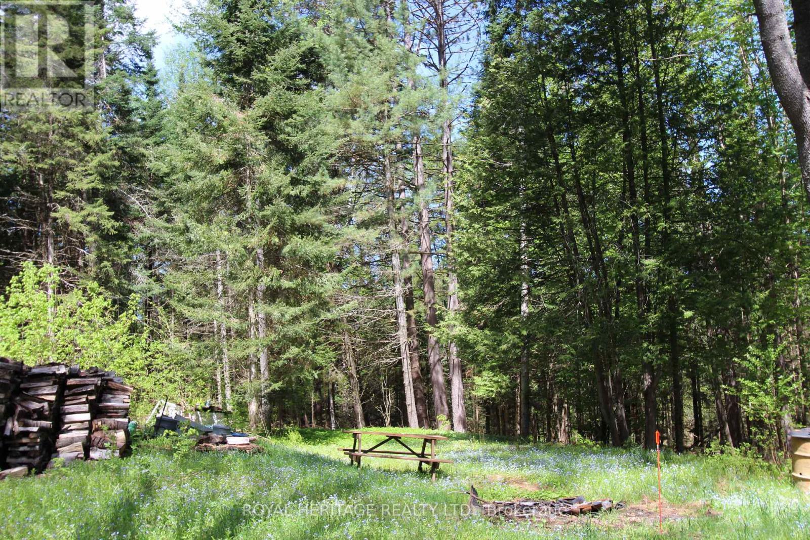 1059 Tortoise Drive, Highlands East (Monmouth), Ontario  K0L 3C0 - Photo 31 - X12168331