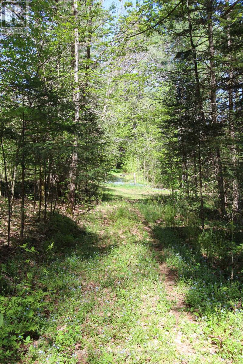 1059 Tortoise Drive, Highlands East (Monmouth), Ontario  K0L 3C0 - Photo 32 - X12168331