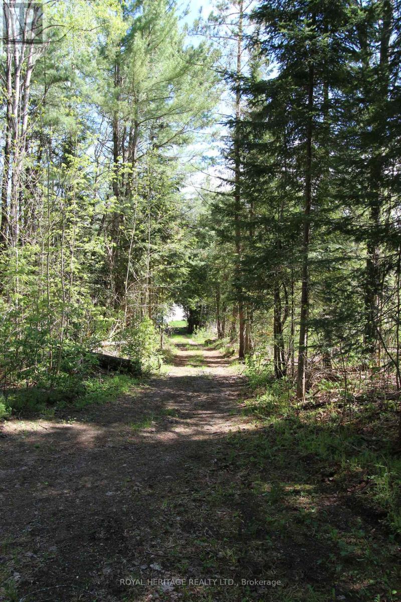1059 Tortoise Drive, Highlands East (Monmouth), Ontario  K0L 3C0 - Photo 34 - X12168331