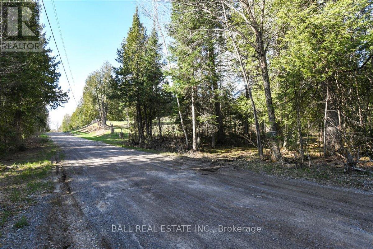 0 Clydesdale Road, North Kawartha, Ontario  K0L 1A0 - Photo 10 - X12168415