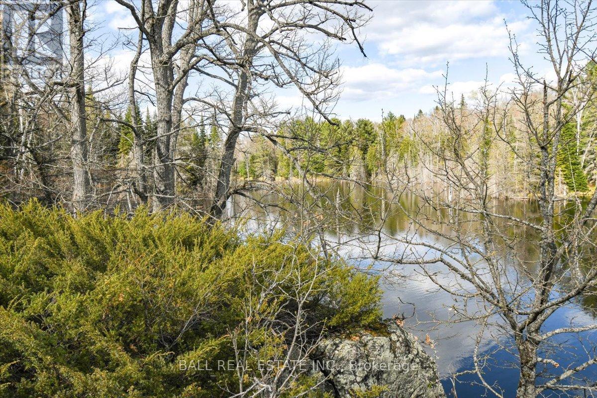 0 Clydesdale Road, North Kawartha, Ontario  K0L 1A0 - Photo 2 - X12168415