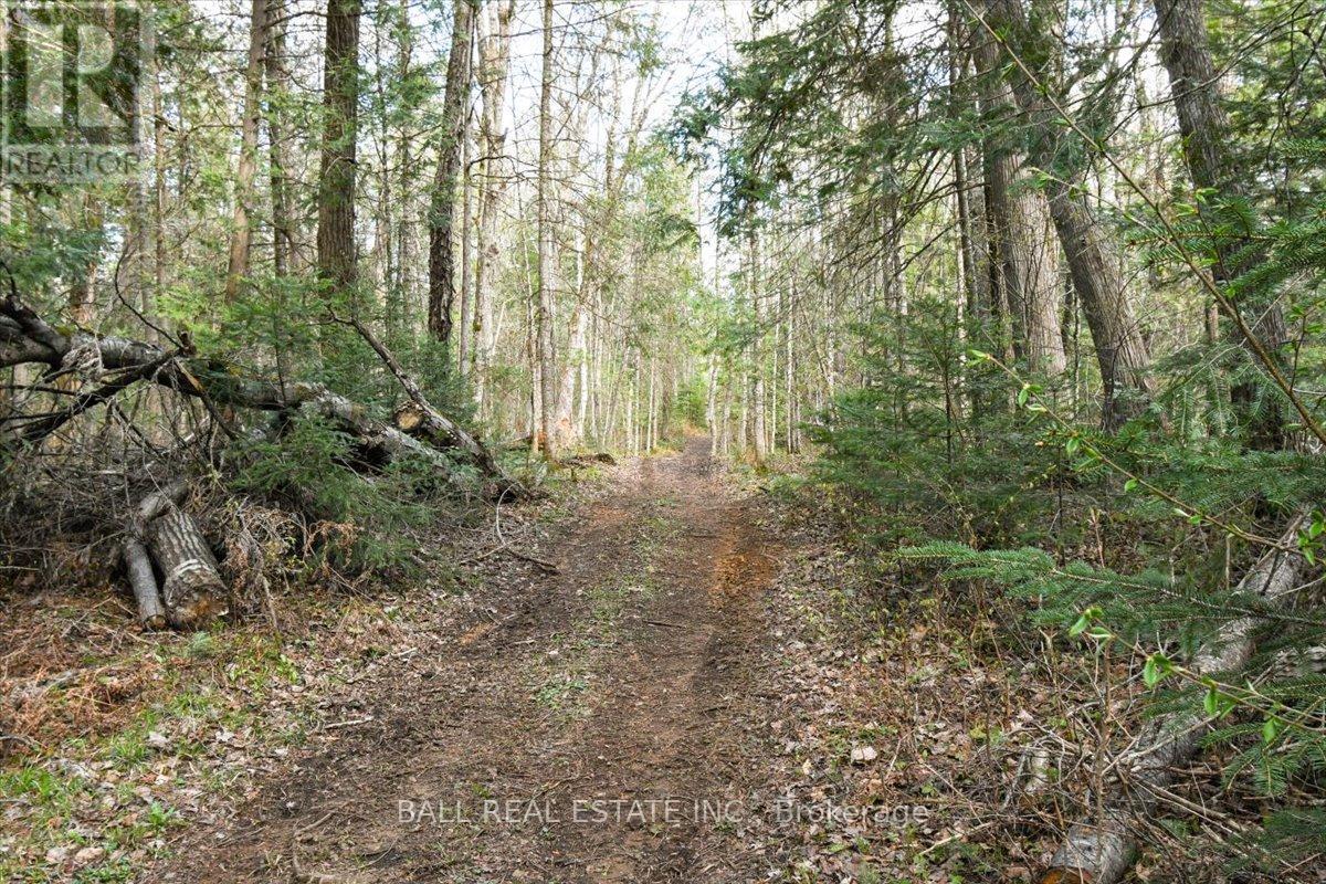 0 Clydesdale Road, North Kawartha, Ontario  K0L 1A0 - Photo 7 - X12168415