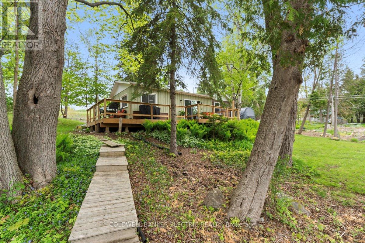 979 Water Street, Douro-Dummer, Ontario  K0L 3A0 - Photo 28 - X12168758