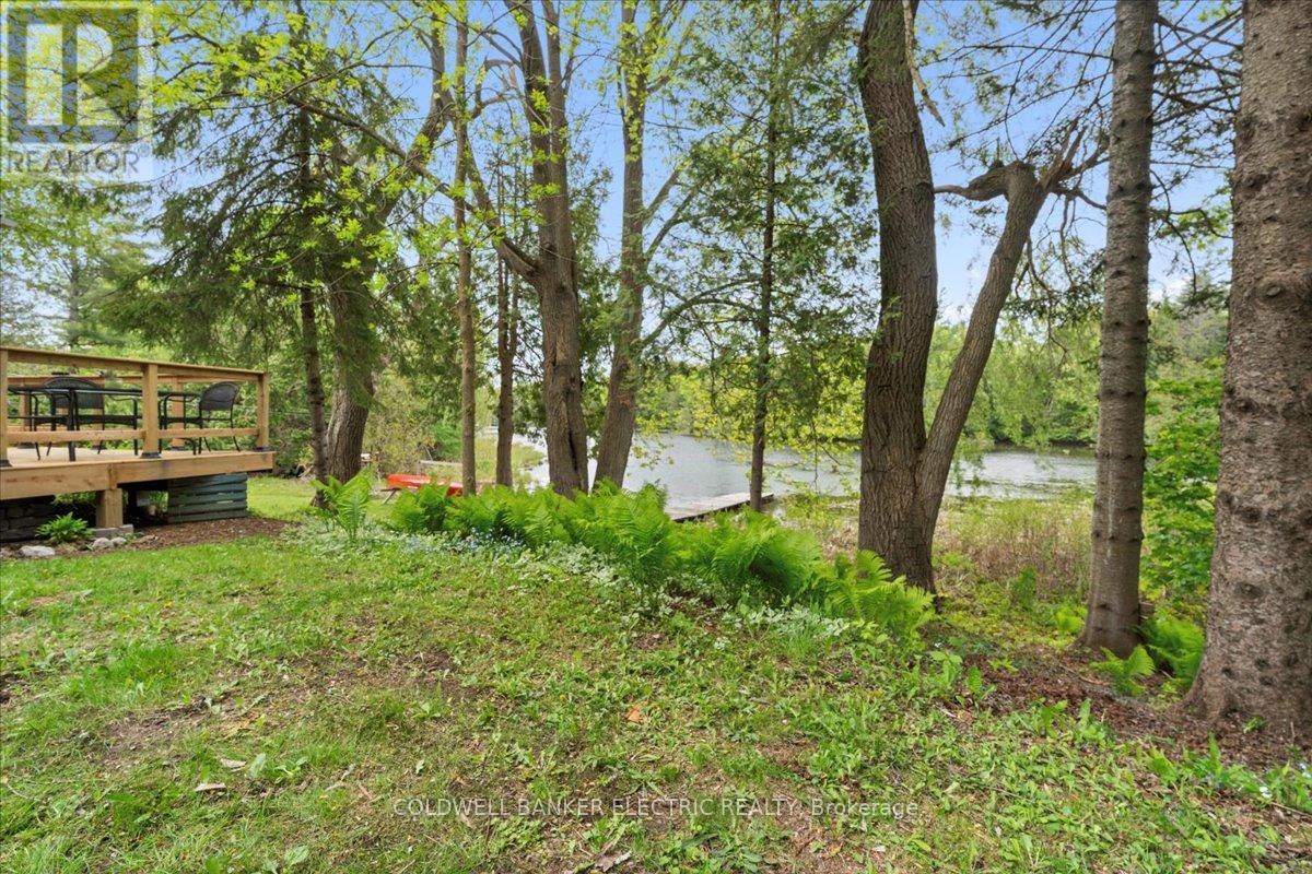 979 Water Street, Douro-Dummer, Ontario  K0L 3A0 - Photo 33 - X12168758