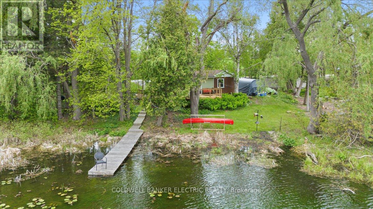 979 Water Street, Douro-Dummer, Ontario  K0L 3A0 - Photo 34 - X12168758