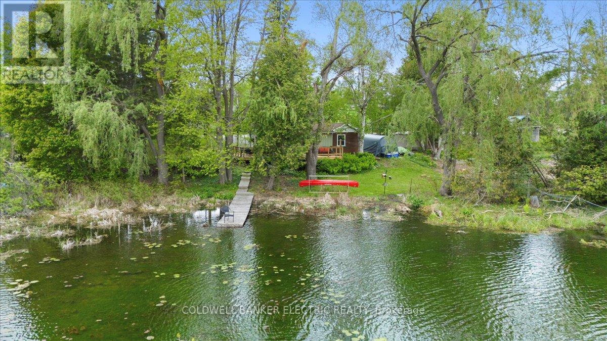 979 Water Street, Douro-Dummer, Ontario  K0L 3A0 - Photo 35 - X12168758