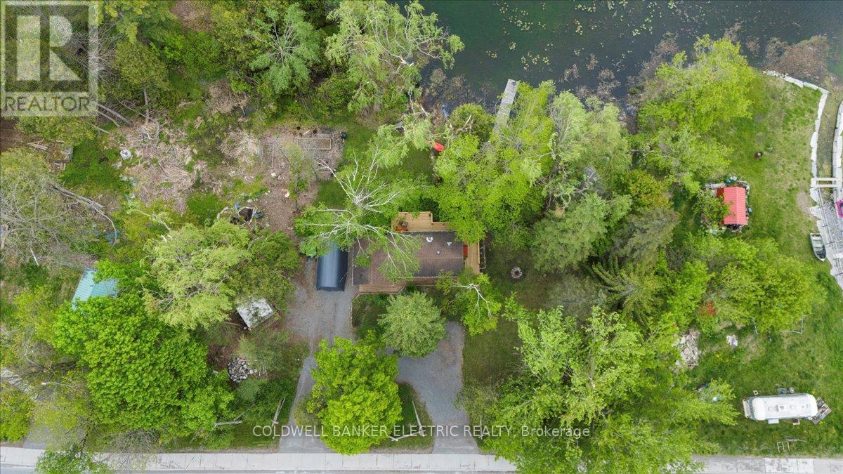 979 Water Street, Douro-Dummer, Ontario  K0L 3A0 - Photo 37 - X12168758