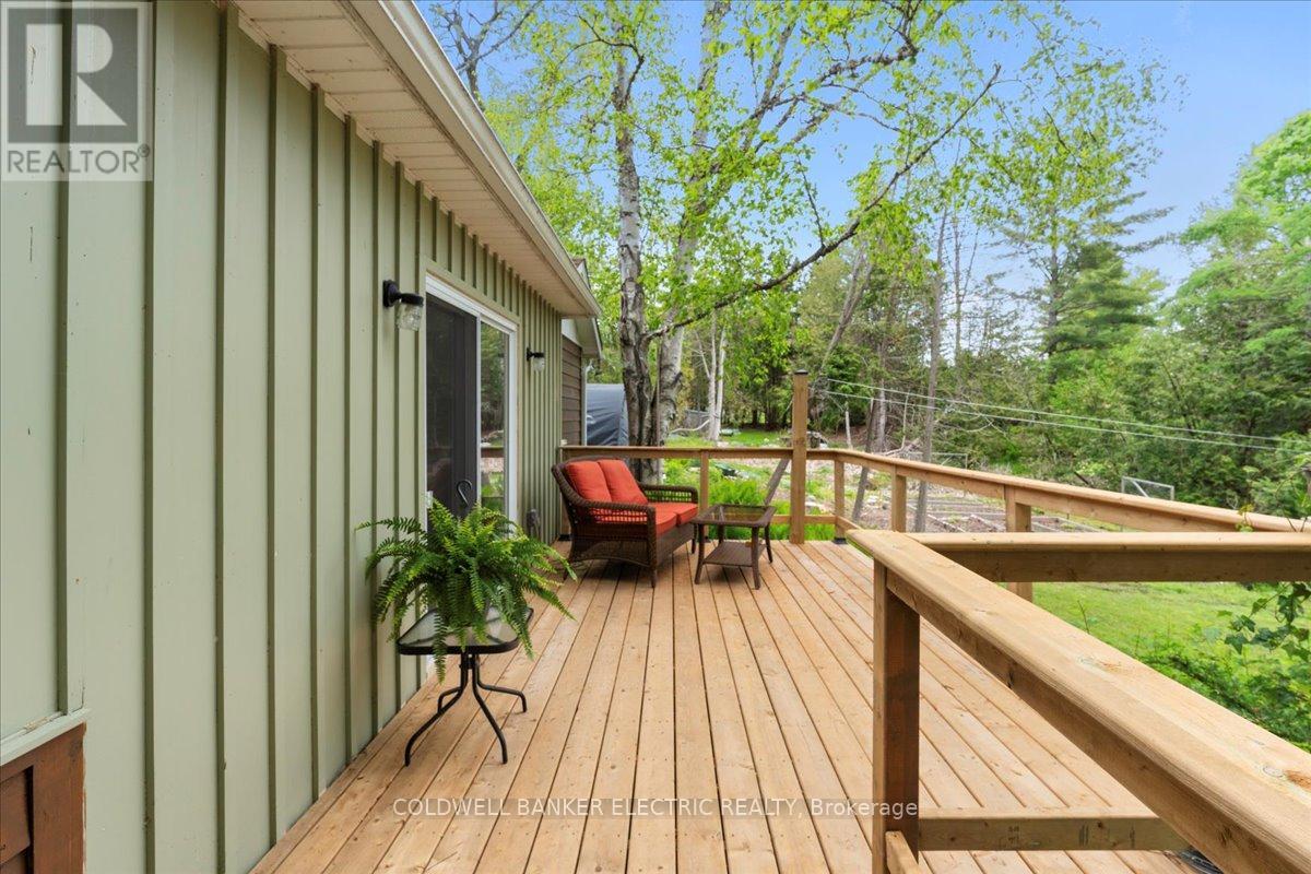 979 Water Street, Douro-Dummer, Ontario  K0L 3A0 - Photo 4 - X12168758