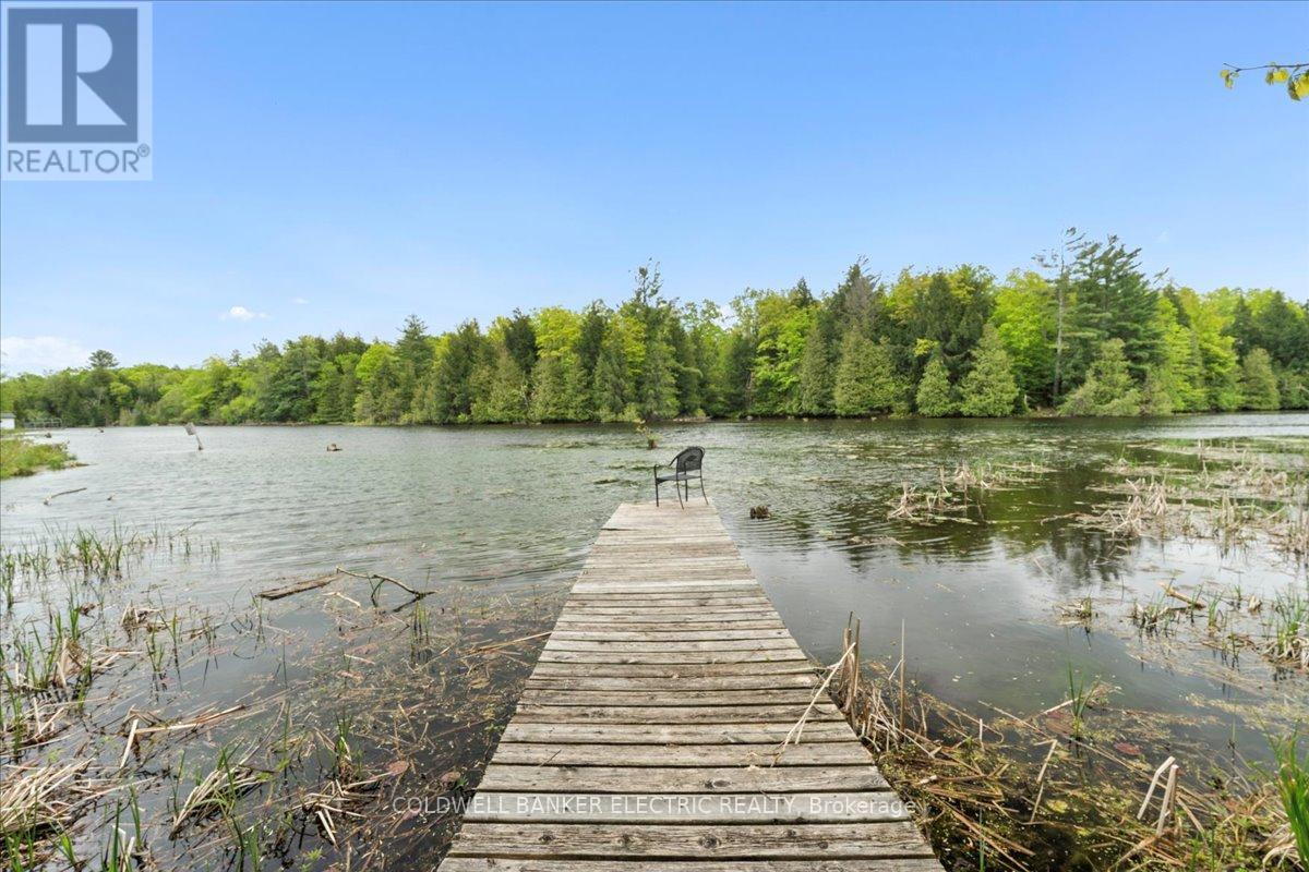 979 Water Street, Douro-Dummer, Ontario  K0L 3A0 - Photo 44 - X12168758
