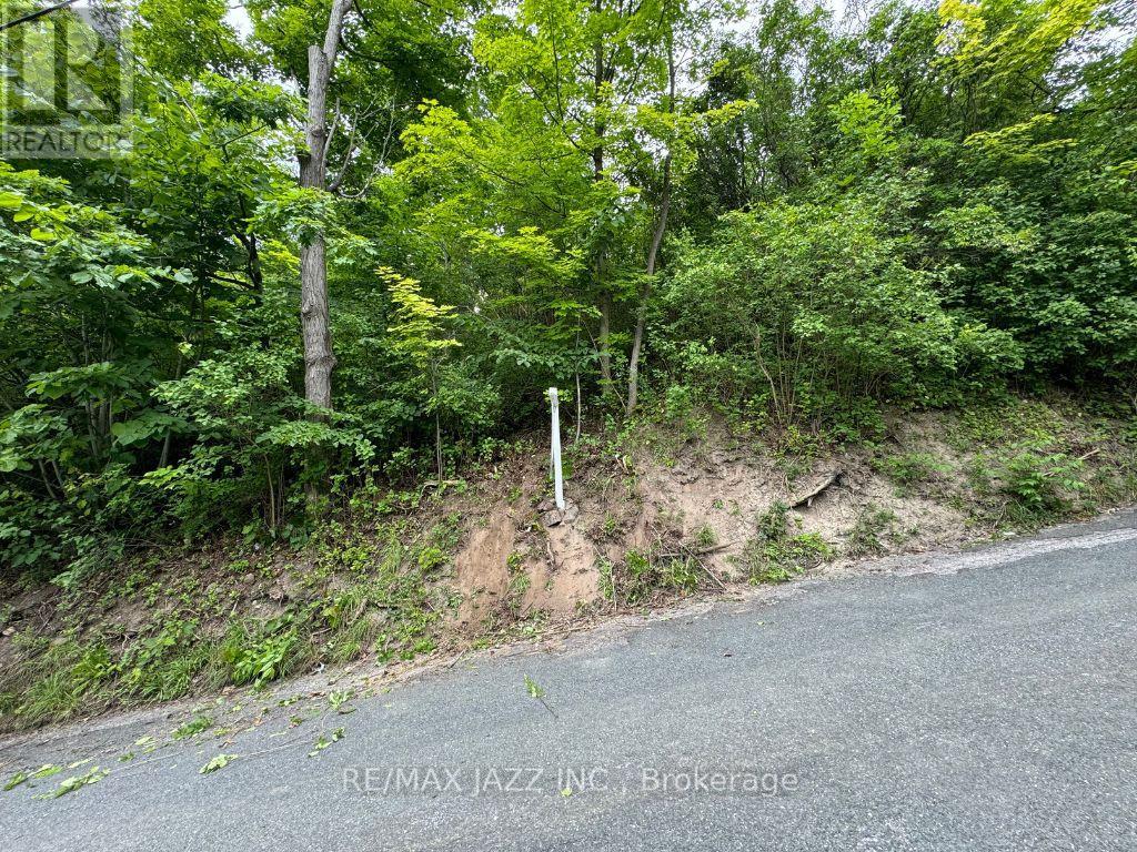 0 Maple Street, Trent Hills (Campbellford), Ontario  K0L 1L0 - Photo 2 - X12169851