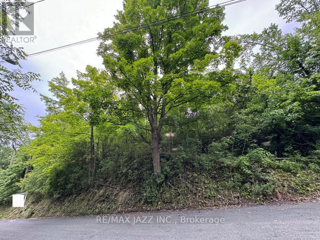 0 Maple Street, Trent Hills (Campbellford), Ontario  K0L 1L0 - Photo 4 - X12169851