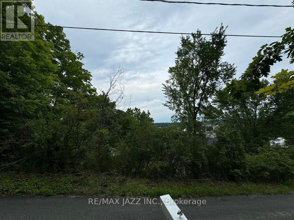 0 Maple Street, Trent Hills (Campbellford), Ontario  K0L 1L0 - Photo 6 - X12169851