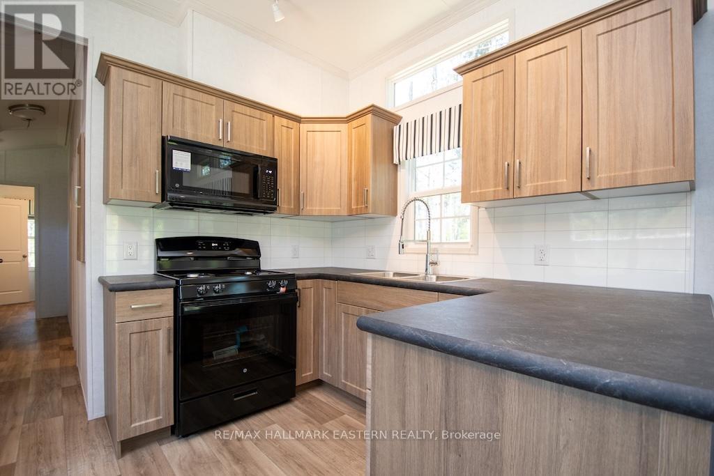 52 Fire Route 39, Lot 206, Trent Lakes, Ontario  K0L 1J0 - Photo 6 - X12170122