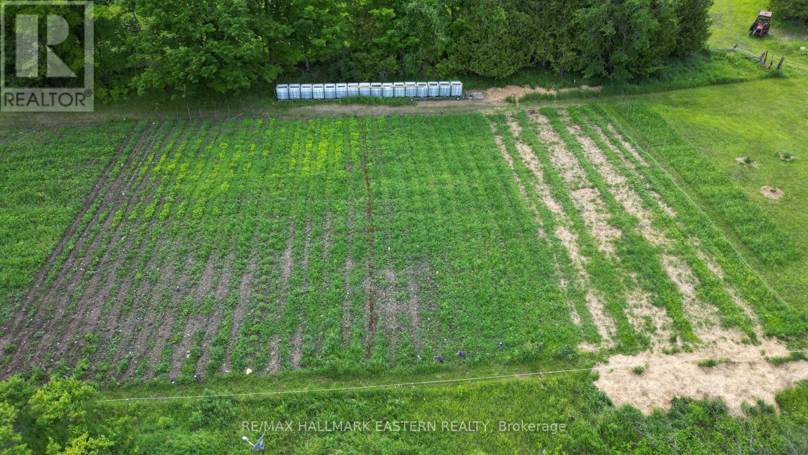 4291 County Road 44, Havelock-Belmont-Methuen (Belmont-Methuen), Ontario  K0L 1Z0 - Photo 11 - X12173097