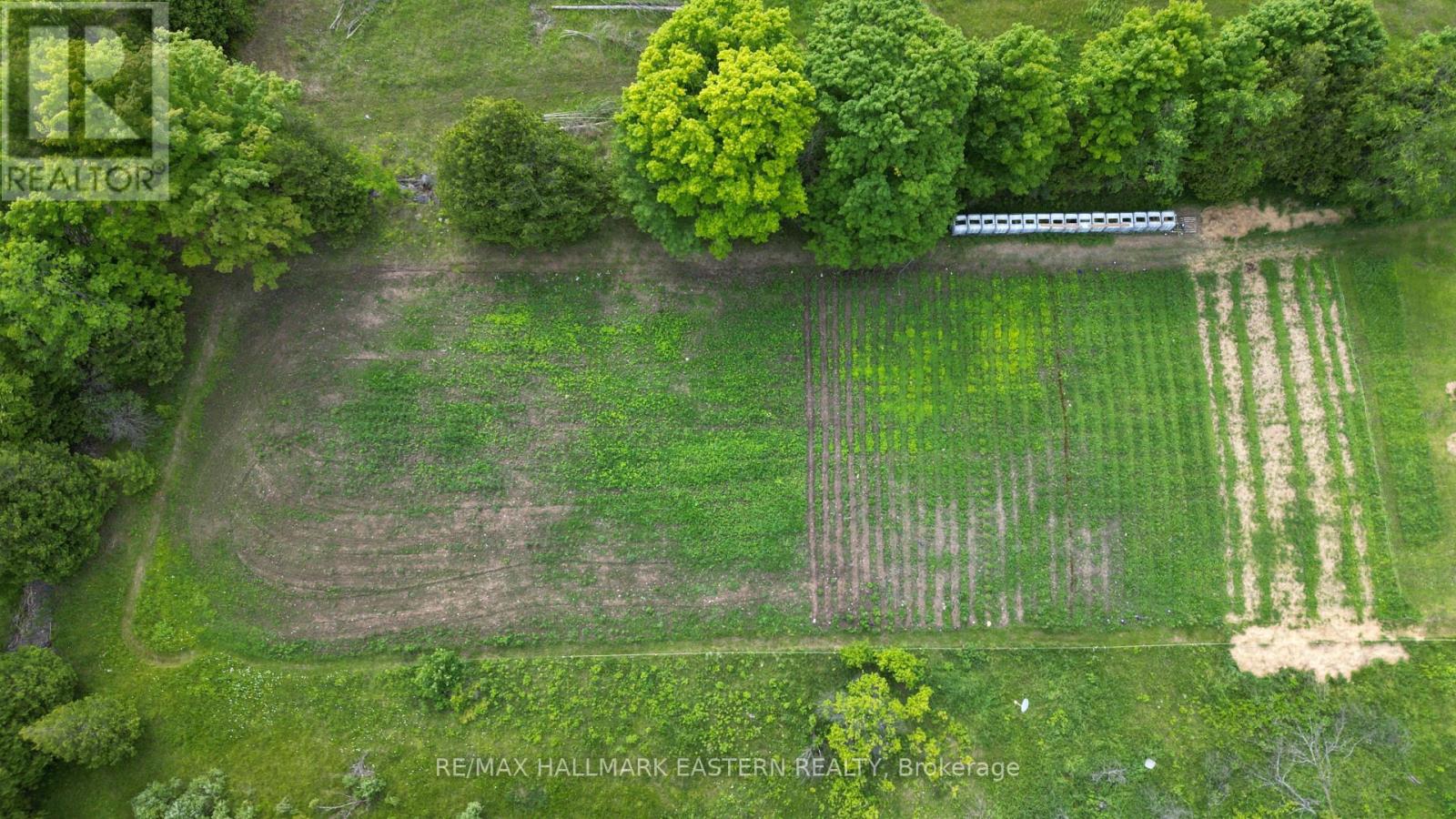 4291 County Road 44, Havelock-Belmont-Methuen (Belmont-Methuen), Ontario  K0L 1Z0 - Photo 5 - X12173097
