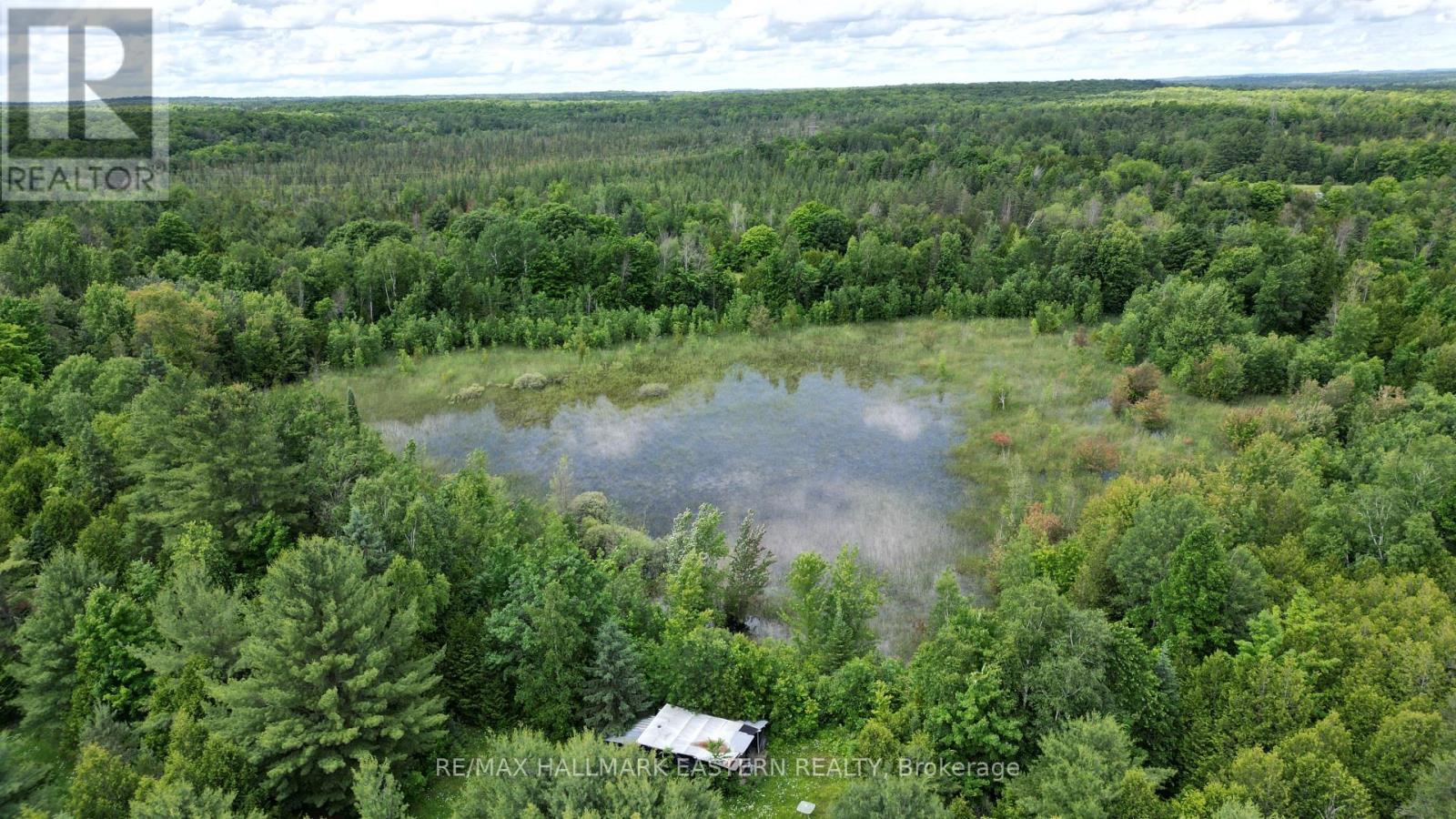 4291 County Road 44, Havelock-Belmont-Methuen (Belmont-Methuen), Ontario  K0L 1Z0 - Photo 7 - X12173097
